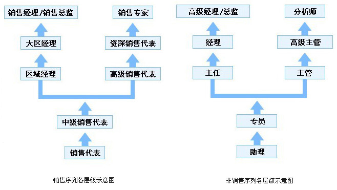 欣希安藥業(yè)員工職業(yè)發(fā)展